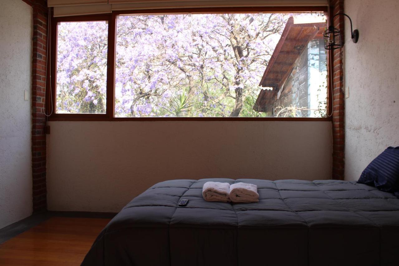 Casa Frida Coyoacan Mexico City Exteriör bild